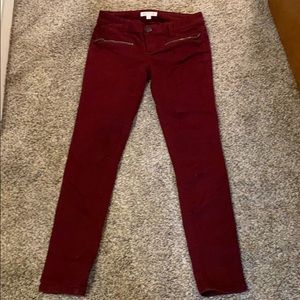 Burgundy pants